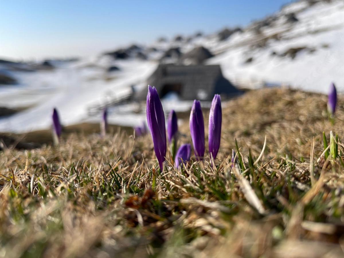 Velika Planina Chalet Slovenka Stahovica Exterior foto